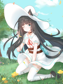 è����������